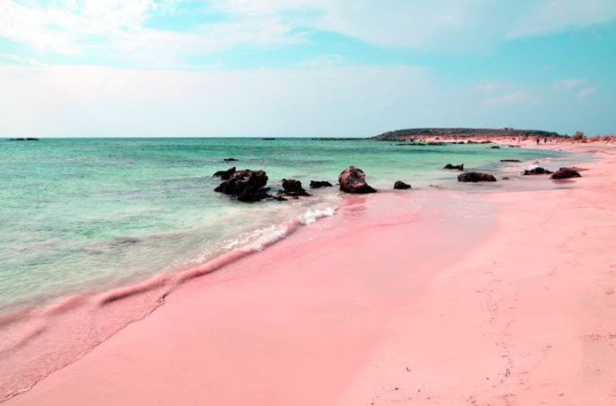bermuda-pink-sand-beach